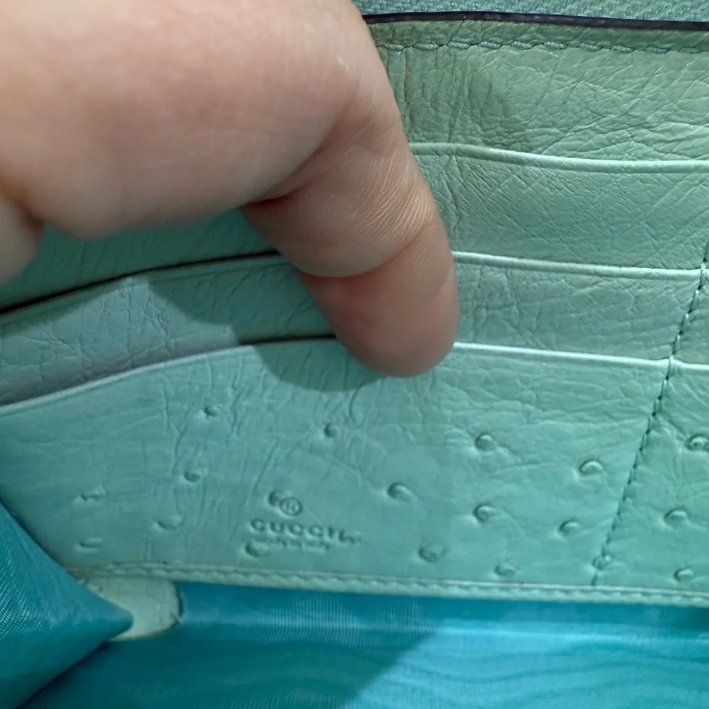 Gucci Ostrich Long Mint Green Wallet